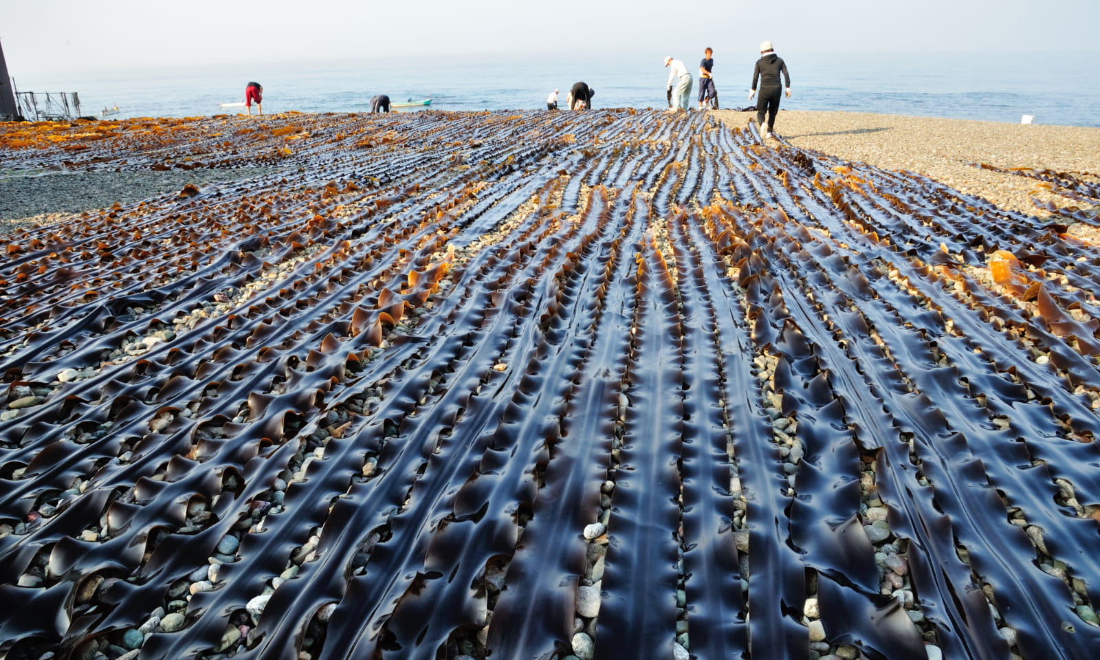 Trải nghiệm ẩm thực độc đáo chỉ có tại Hokkaido