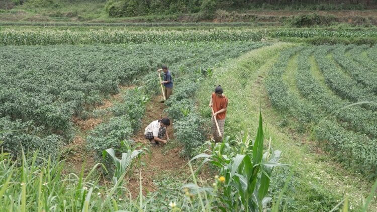 Lê Bống xúc động nhắc về tuổi thơ trong căn tập thể cũ, ngập nước thải đêm 30 Tết