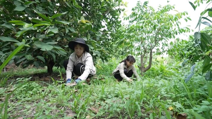 Phương Trinh Jolie bật khóc khi thấy hình ảnh tuổi thơ mình trong cô bé mồ côi ở “Mái ấm gia đình Việt”