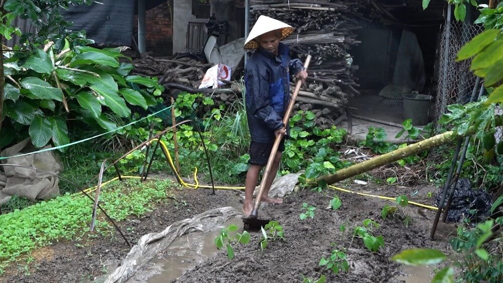 Huỳnh Lập, Hà Lê xót xa trước cảnh người bà già yếu gồng gánh nuôi hai cháu mồ côi