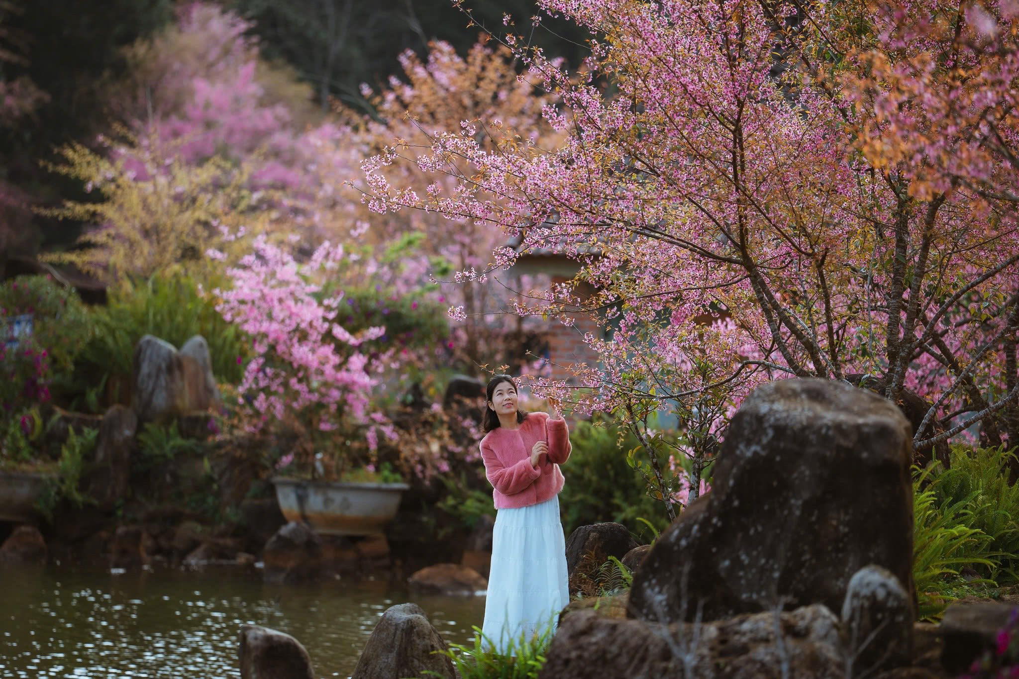 Một góc nhìn của người xưa về năm Bính Ngọ 2026