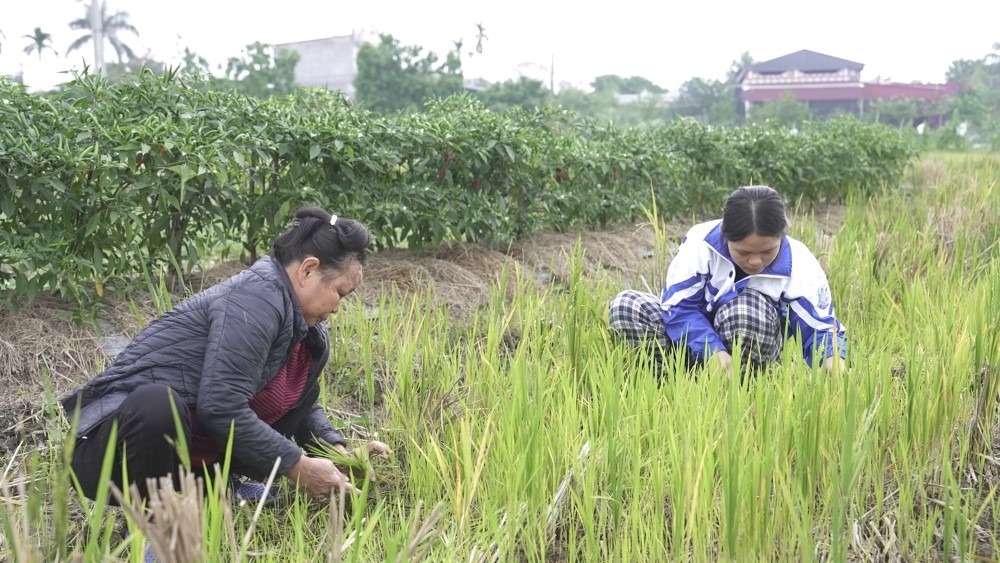 Minh Dự lần đầu làm MC Mái ấm gia đình Việt, nghẹn lòng trước những mảnh đời kém may mắn
