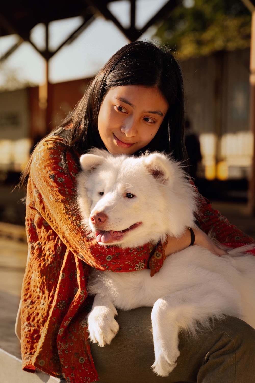 Tạm Biệt Gohan - Một chú chó, 3 cuộc đời và 3 lần chia ly thấm đẫm nước mắt