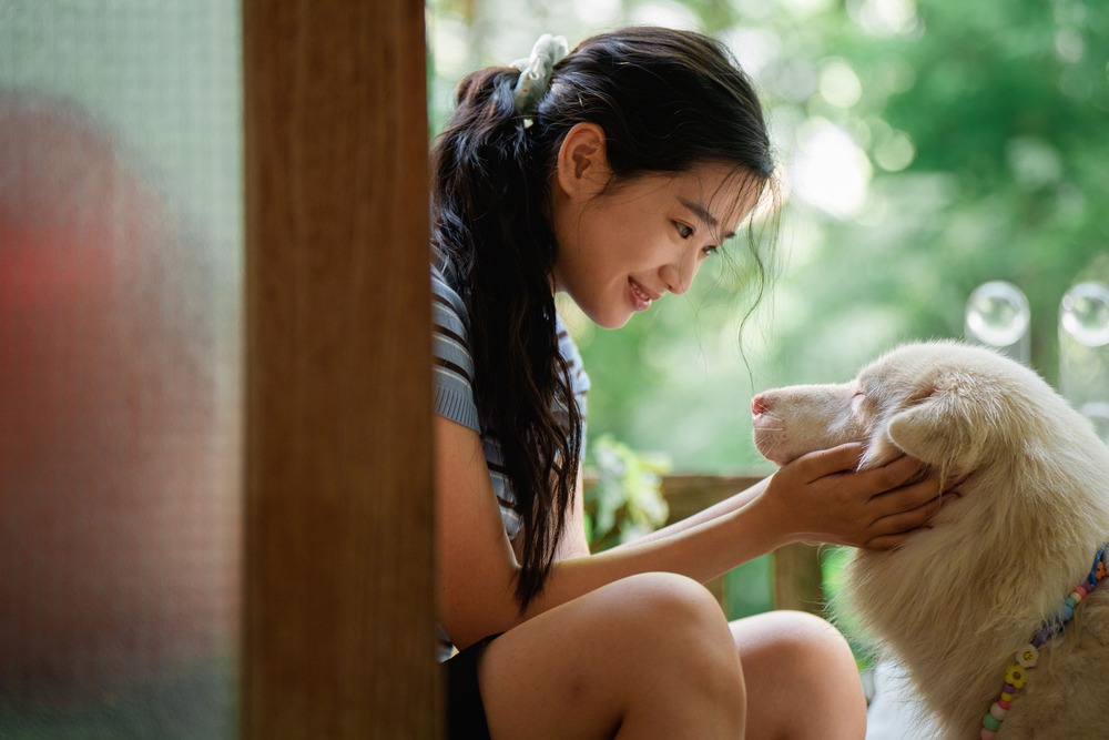 Tạm Biệt Gohan - Một chú chó, 3 cuộc đời và 3 lần chia ly thấm đẫm nước mắt