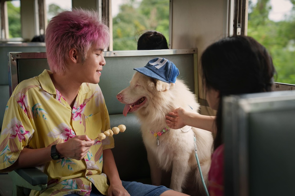 “Tạm Biệt Gohan” gây sốt phòng vé Việt, lấy nước mắt khán giả bằng câu chuyện chữa lành về chú chó nhỏ