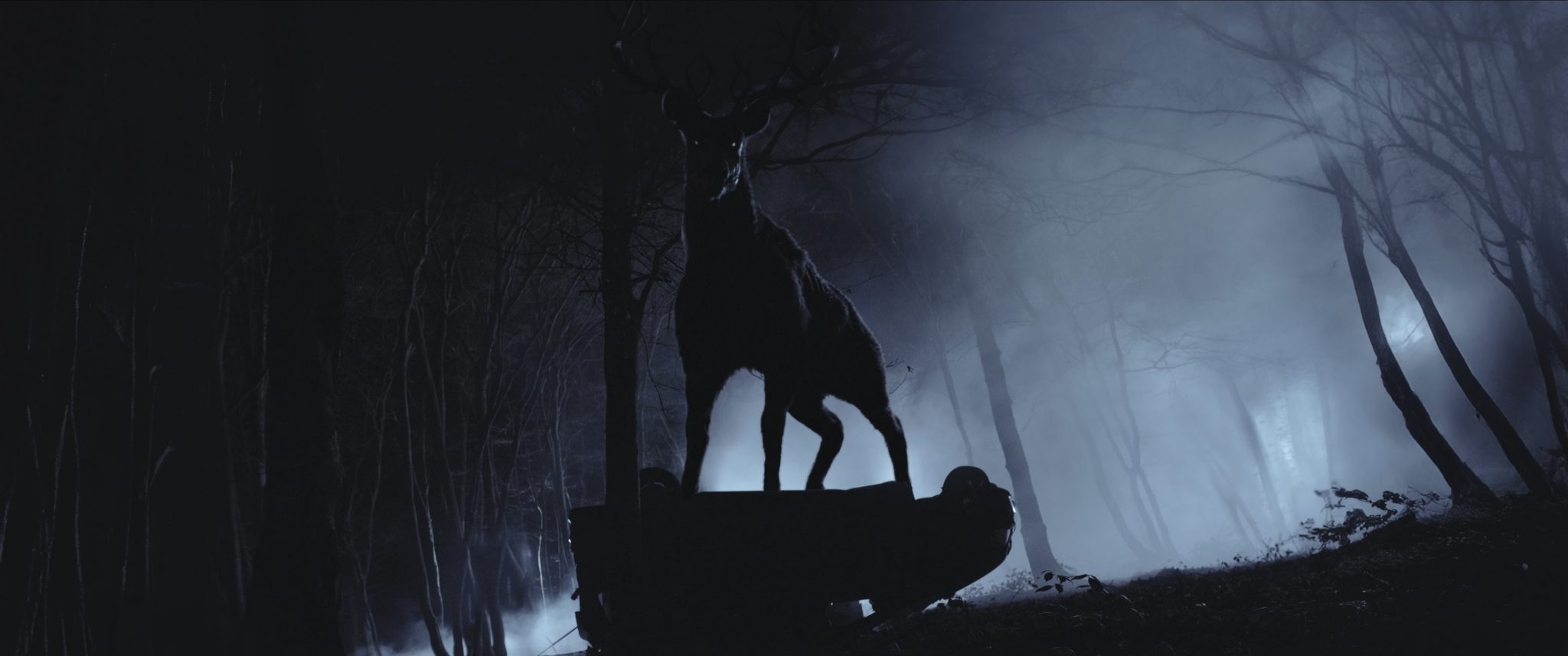 Đạo diễn “Bambi: Lãnh Địa Săn Mồi” gây bất ngờ khi nhận định bản kinh dị sát nguyên tác hơn phim Disney